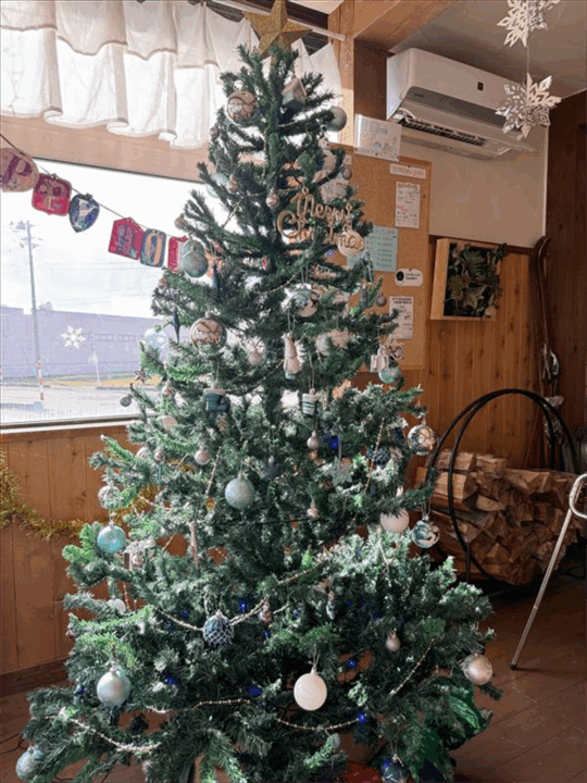 クリスマスツリー①