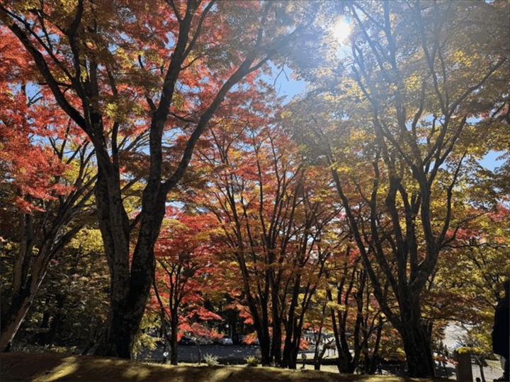 土津神社 グラデーションが見事