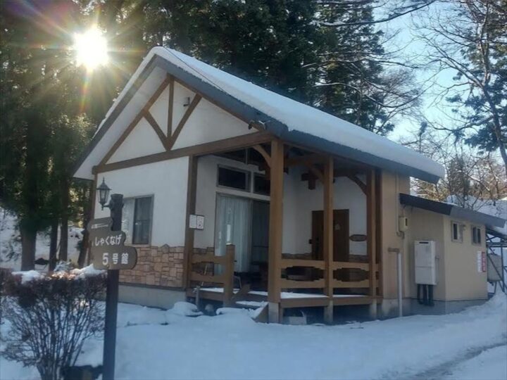 今シーズン、最強寒波の後のしゃくなげ平