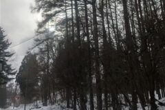 しゃくなげ平別荘地