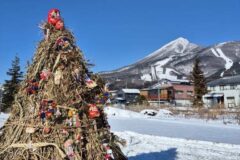 歳の神 燃える前