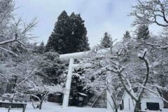 雪に包まれた白い鳥居と長い石段